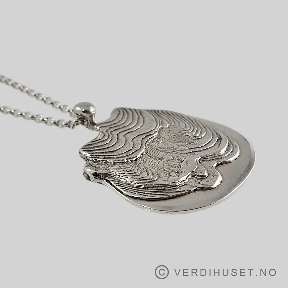 Anheng i sølv - Tone Vigeland